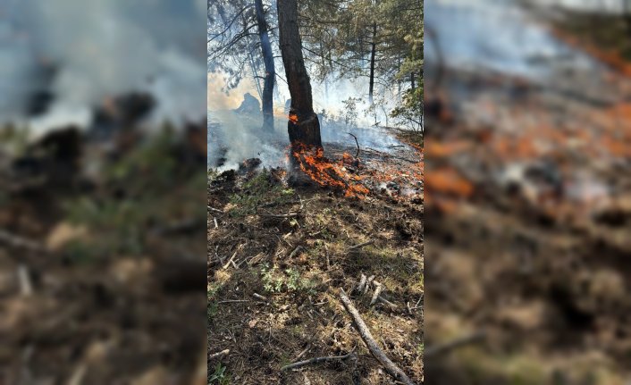 Çorum'da çıkan yangında 2 dekar ormanlık alan zarar gördü