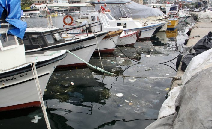 Doğaya bırakılan plastik çöpler deniz canlıları üzerinde ölümcül sonuçlar doğuruyor