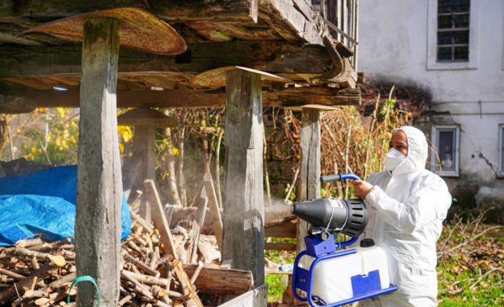 Ordu'da kahverengi kokarca ile mücadele amacıyla 60 bin kışlak ilaçlandı