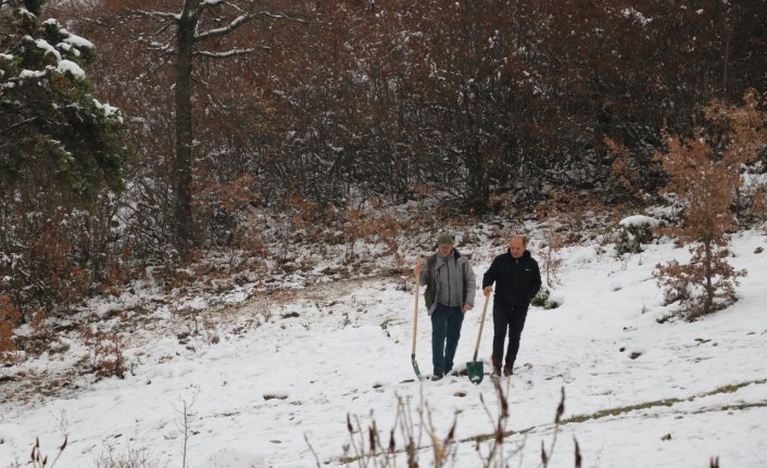 “Yitik lale“nin tohumları 132 yıl sonra ana vatanı Amasya'da toprakla buluşturuldu