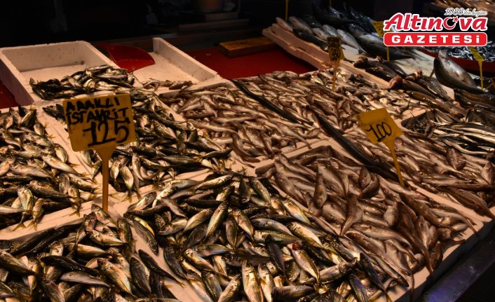 Trabzon'da hamsinin kilogramı 150 ile 200 lira arasında satışa sunuluyor