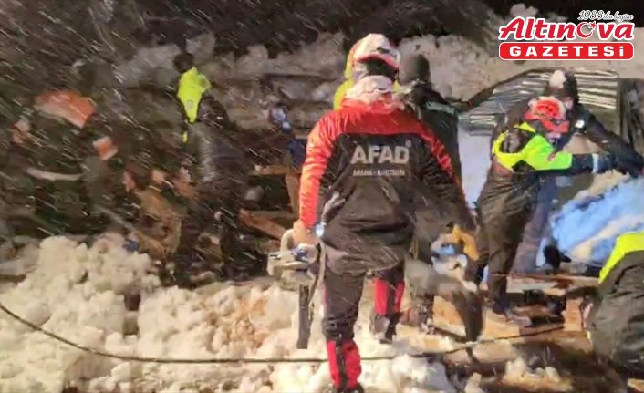Artvin'de kar nedeniyle çatısı çöken ahırda 50 koyun telef oldu