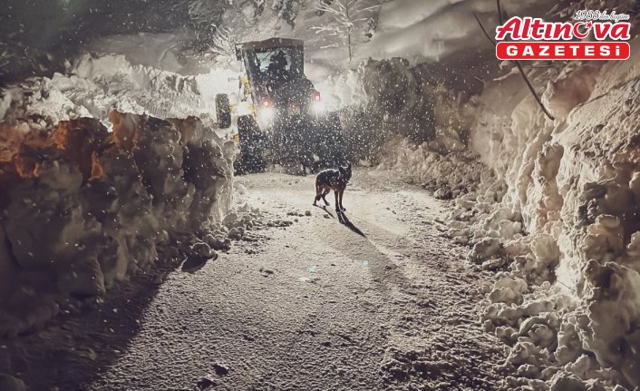 Artvin'de ve Rize'de kapalı 316 yerleşim yeri yolunda karla mücadele sürüyor