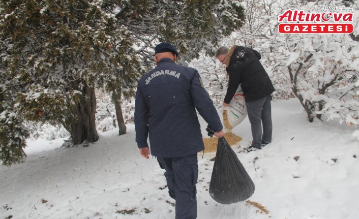 Çorum'da yaban hayvanları için doğaya yem ve ot bırakıldı