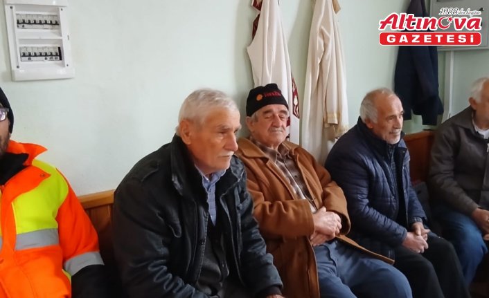 19 Mayıs ilçesinde kahverengi kokarcayla mücadele devam ediyor