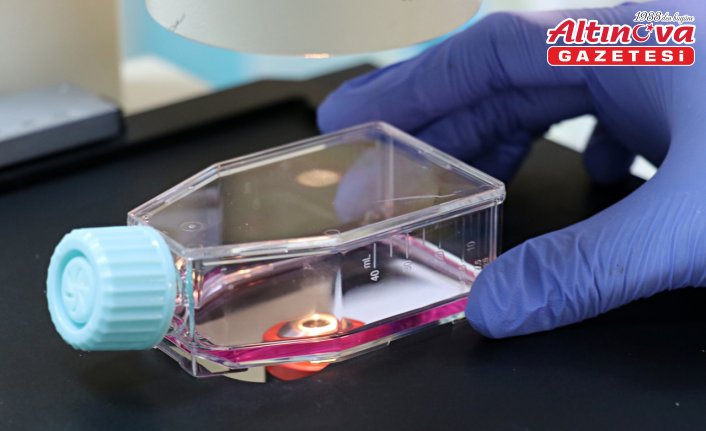 ALS hastalığında genetik temelli yeni tedavi stratejisi üzerinde çalışılıyor