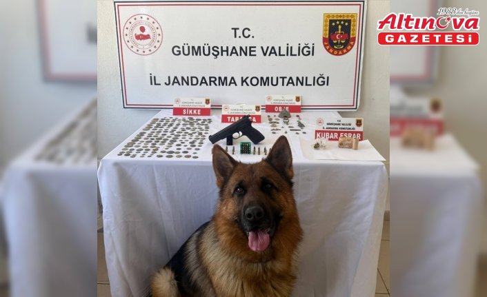 Gümüşhane'de 165 sikke ele geçirildi