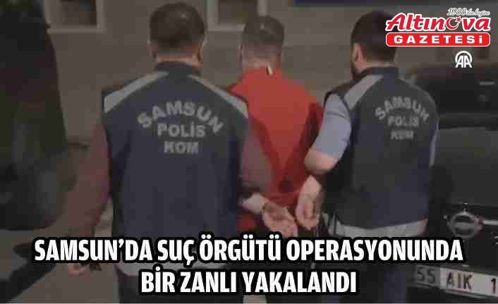 Samsun'da suç örgütü operasyonunda bir zanlı yakalandı