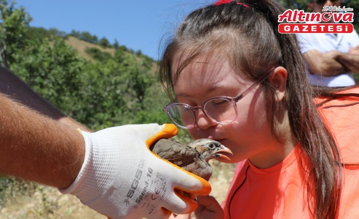 Amasya'da keneyle mücadele kapsamında 900 kınalı keklik doğaya bırakıldı
