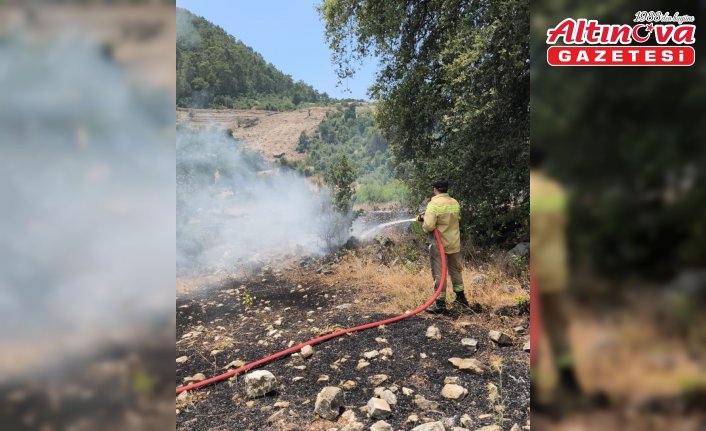 Antalya'da makilik alanda çıkan yangın kontrol altına alındı