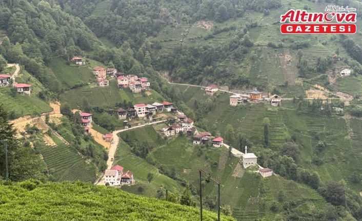 Rizeli muhtarlardan "düğüne davet edilmedim" sorununa dijital çözüm