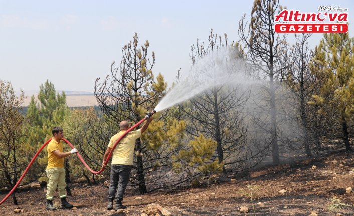 Amasya'da otluk arazide çıkıp ormanlık alana sıçrayan yangın söndürüldü