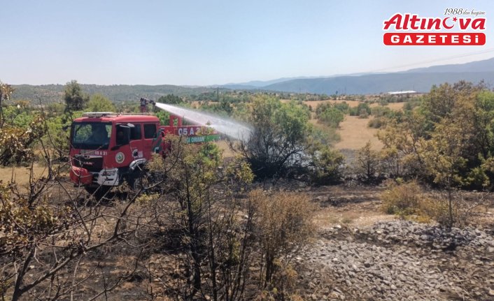 Çorum'da ormanlık alanda çıkan yangın büyümeden söndürüldü