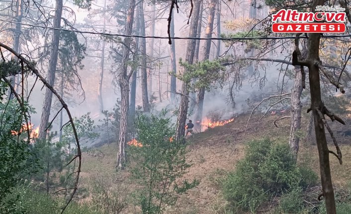 GÜNCELLEME - Bolu'nun Mudurnu ilçesinde ormanlık alanda yangın çıktı