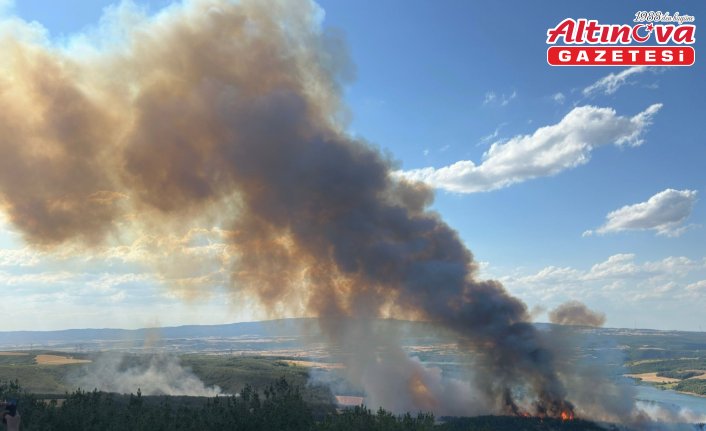 Tekirdağ'da orman yangınına havadan ve karadan müdahale ediliyor
