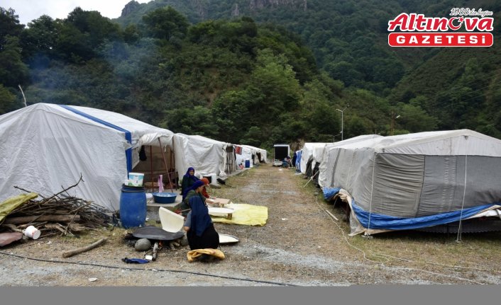 Mevsimlik tarım işçileri fındık hasadı için Ordu'ya gelmeye başladı