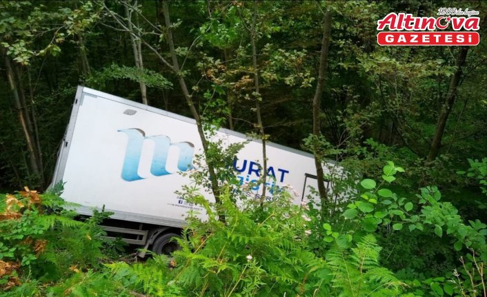 Sinop'ta ormanlık alana devrilen kargo aracının sürücüsü yaralandı