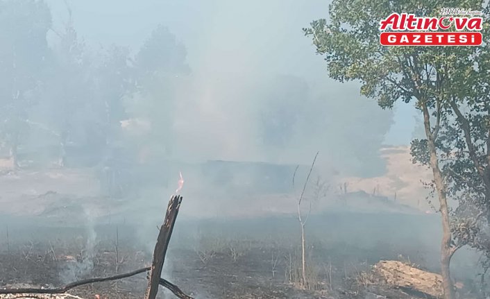Tokat'ta çıkan yangında 10 dönümlük alan zarar gördü