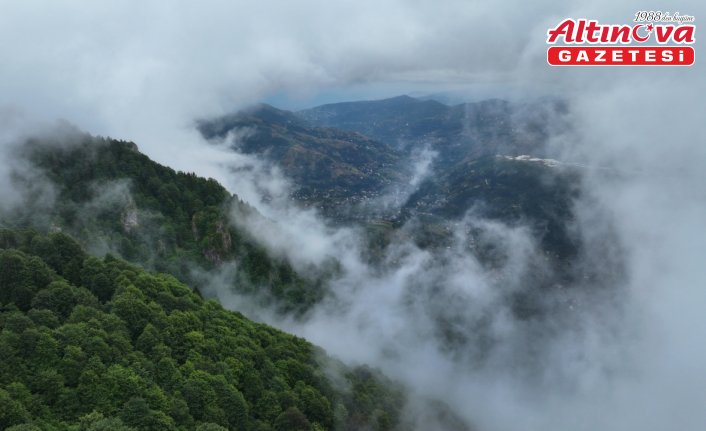 Trabzon'un “Hıdırnebi Yaylası“ sis altındaki güzelliğiyle ziyaretçilerini karşılıyor