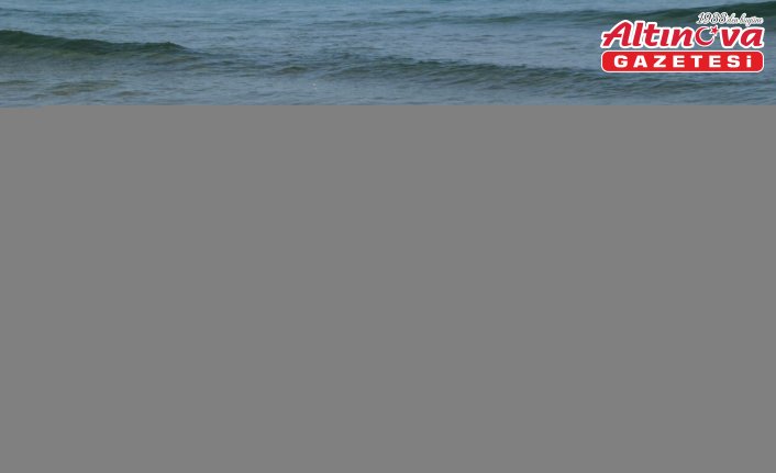 Deniz Küreği Türkiye Şampiyonası Sahil Sürat Yarışları, Sinop'ta başladı
