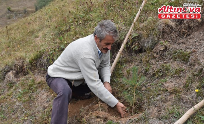 Gümüşhane'deki köyünü 40 yılda 50 bini aşkın fidanla buluşturdu