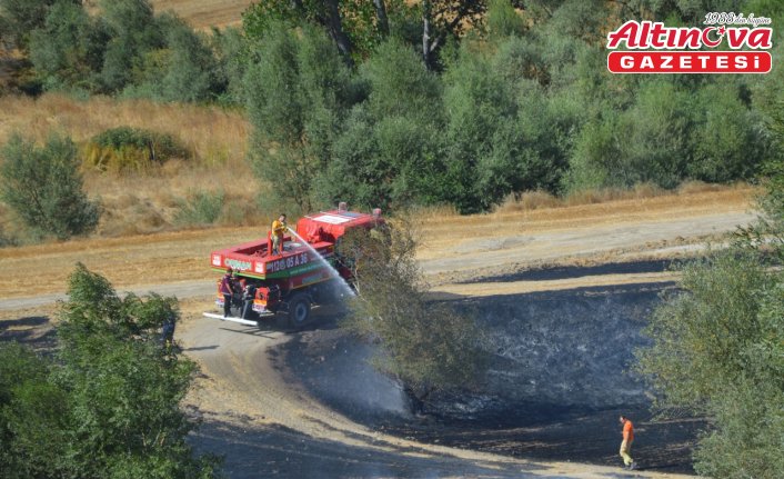 Samsun'da anız yangınlarında yaklaşık 620 dekar tarım arazisi zarar gördü