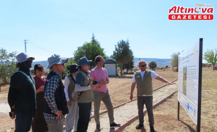 Güney Kore Ulusal Kültürel Miras Araştırma Enstitüsü heyeti, Çorum'da arkeolojik kazı alanlarını gezdi