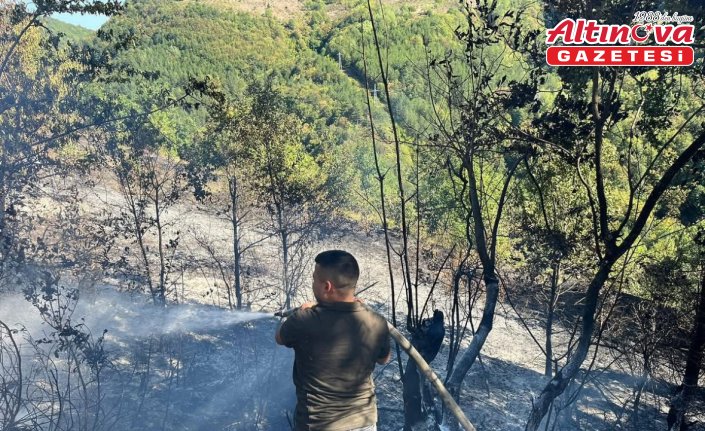Kastamonu'da çıkan yangın ormanlık alana sıçramadan söndürüldü