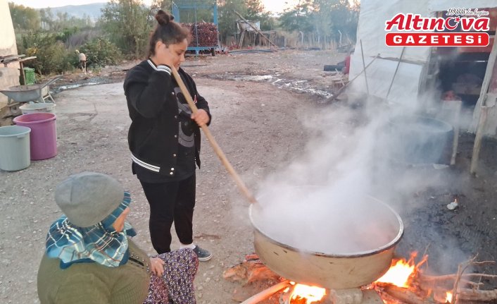 Samsun'da kadınlar kış hazırlığı için kuşburnu marmeladı yaptılar