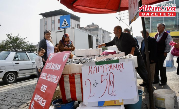 Samsunlu balıkçı Samsunspor'un başarısını hamsiyi 25 liradan satarak kutladı