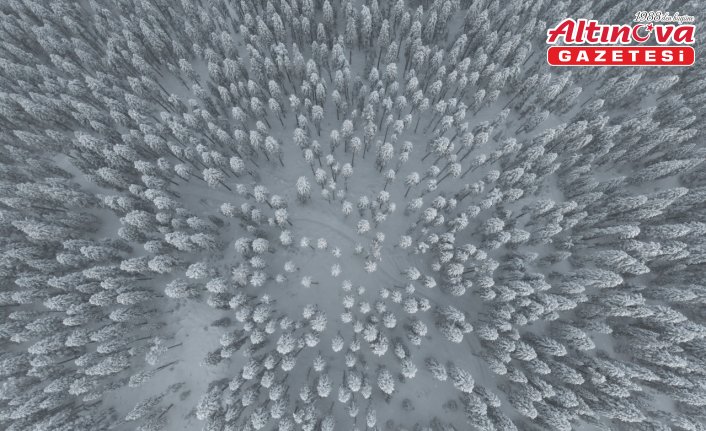 Ilgaz Dağı'nın karlı ormanları dron ile görüntülendi