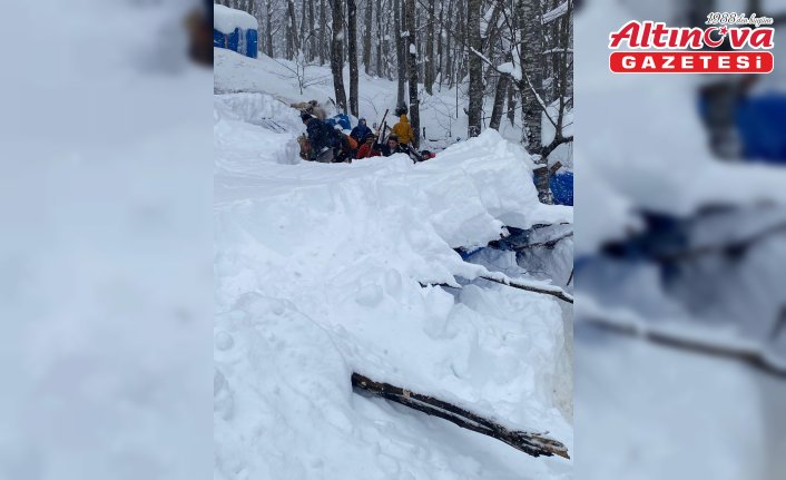 Ordu'da çatısı çöken ağıldaki 7 koyun telef oldu
