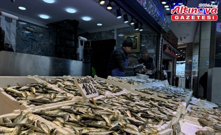 Trabzon'da balıkçı tezgahlarında hamsi ve istavrit ilgi görüyor