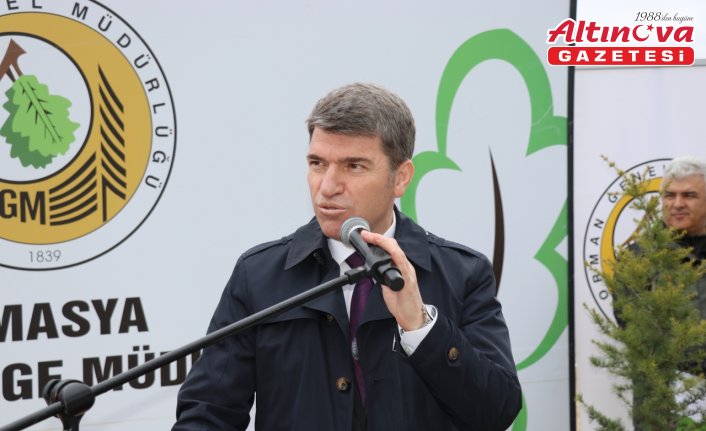 Amasya'da Orman Haftası'nda fidanlar toprakla buluştu