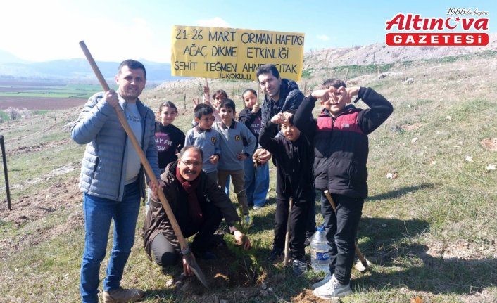 Gümüşhacıköy'de Orman Haftası'nda fidanlar toprakla buluşturuldu