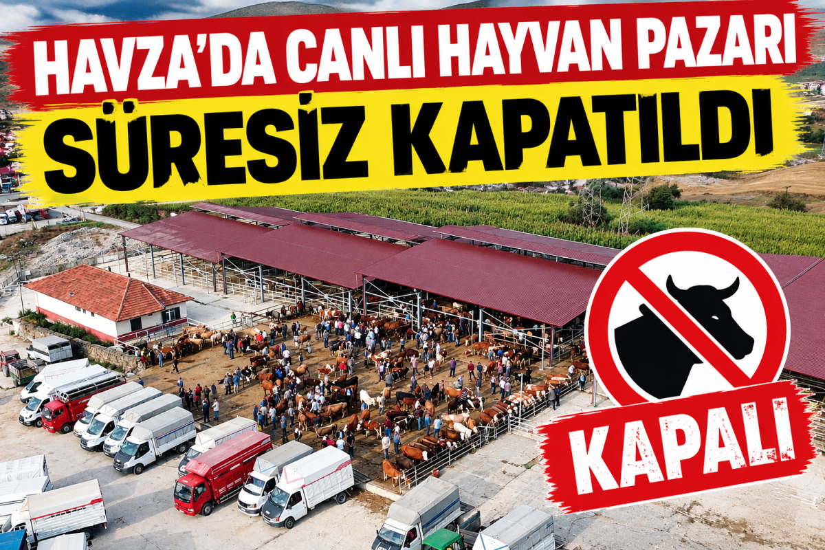 Havza'da canlı hayvan pazarı süresiz kapatıldı