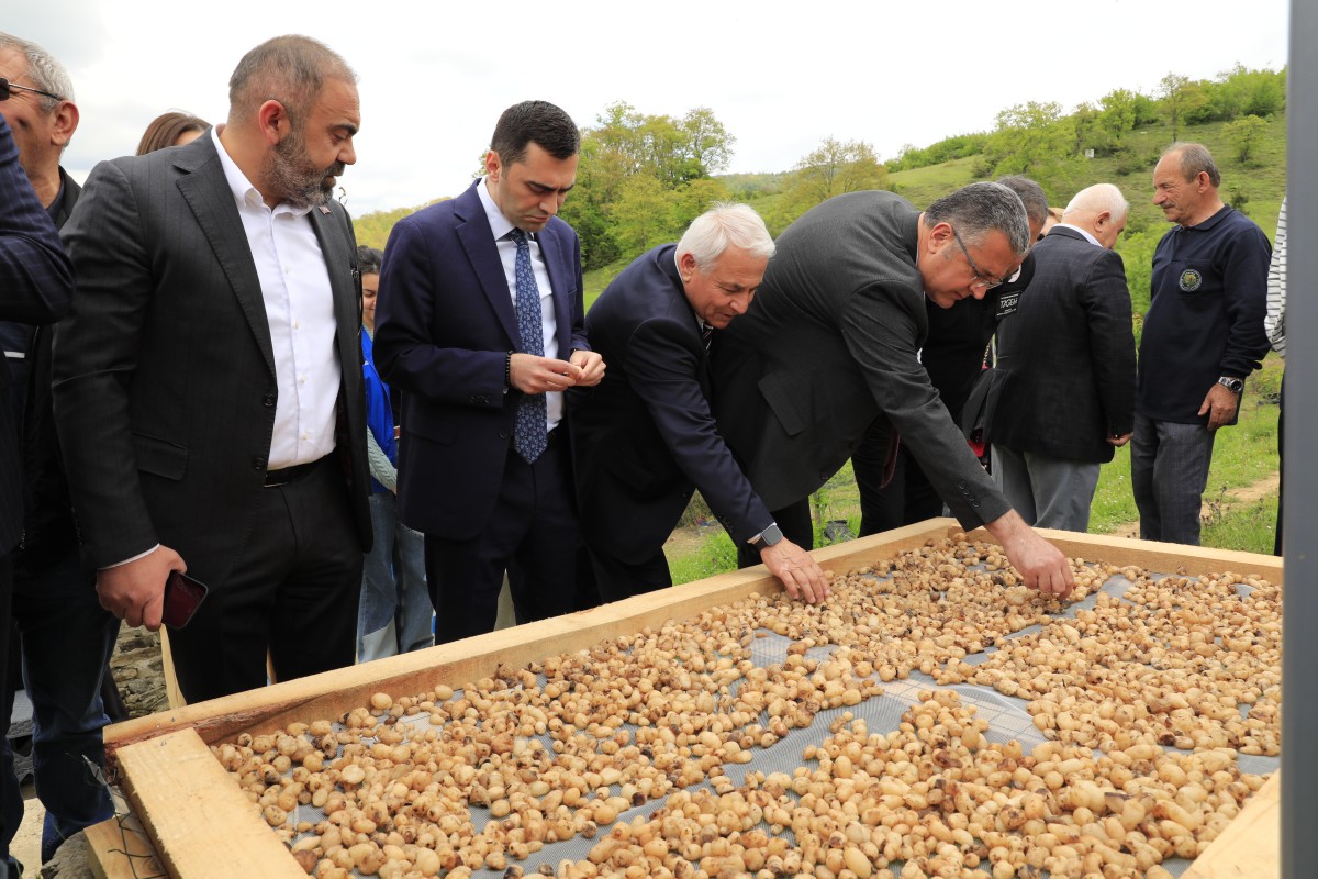 Samsun'da 3. Salep Uygulamalı Hasat Eğitimi ve Tanıtım Etkinliği düzenlendi