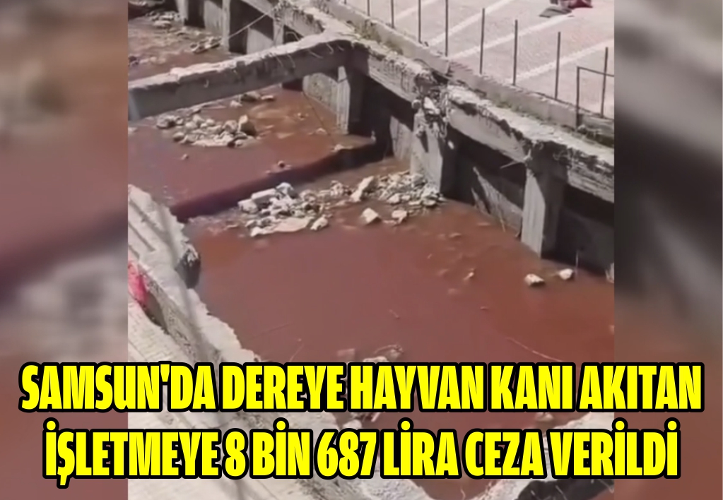 Samsun'da dereye hayvan kanı akıtan işletmeye 8 bin 687 lira ceza verildi