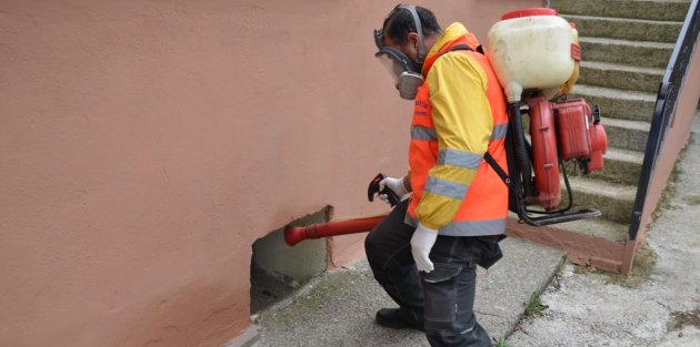 19 Mayıs’ta Haşere İle Mücadele Yapıldı