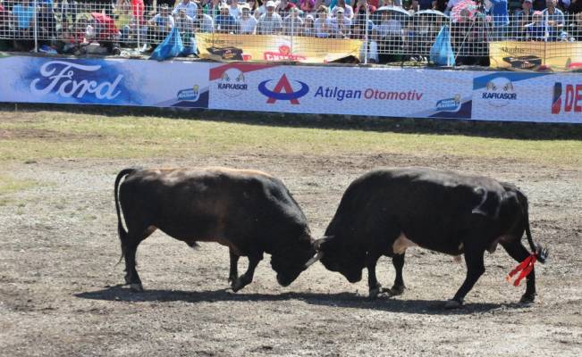 37. Kafkasör Kültür, Turizm ve Sanat Festivali