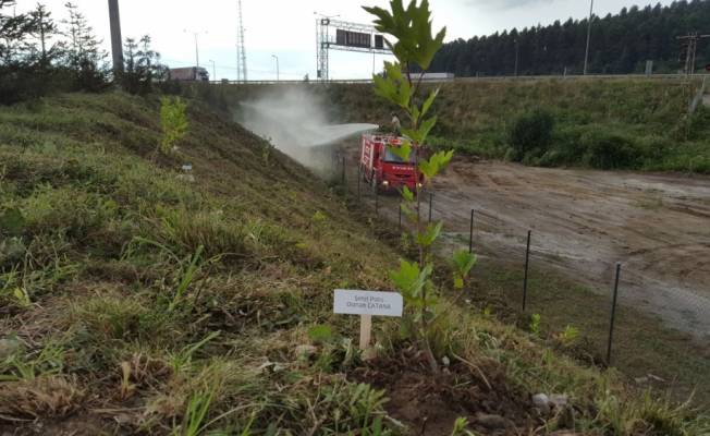 Düzce'de şehitler için hatıra orman parkı kuruldu