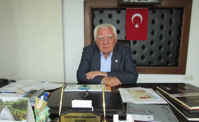 Kavak'ta ambar zararlılarına karşı uyarı