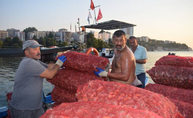 Salyangoz, Karadenizli balıkçıların gelir kaynağı oldu