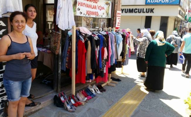 Sinop'ta sokak hayvanları yararına kermes