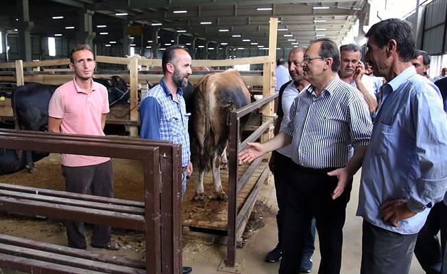 BAŞKAN ŞAHİN İNCELEMELERDE BULUNDU