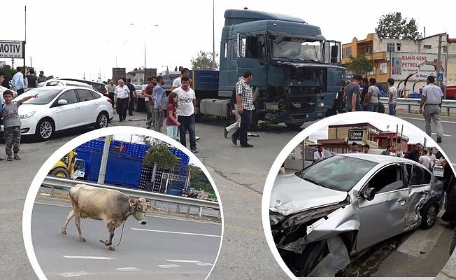 ŞANS ESERİ FACİADAN DÖNÜLDÜ