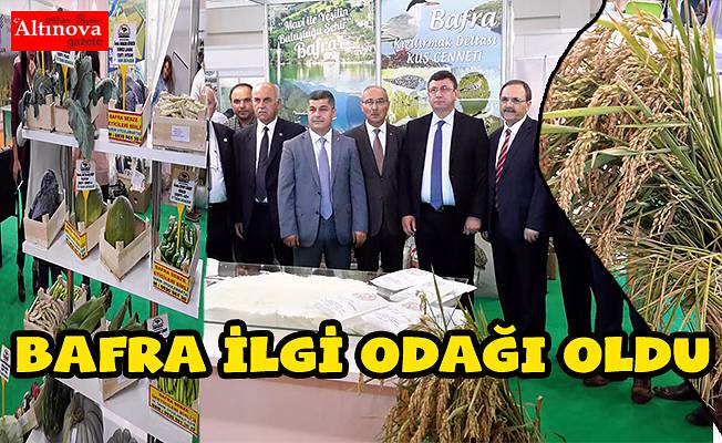 Bafra ilgi odağı oldu