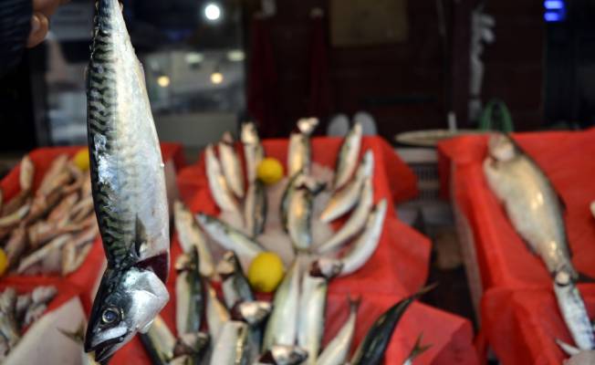 Karadeniz'in 30 yıllık 