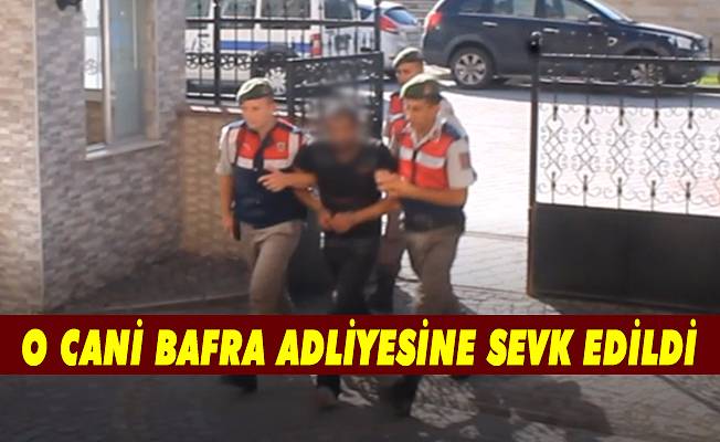 O cani adliyeye sevk edildi