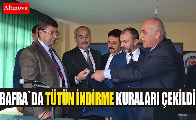 Bafra`da tütün bakım ve indirme kuraları çekildi